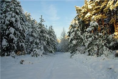 《心灵杀手2》将迎合新老玩家 没玩过前作没关系